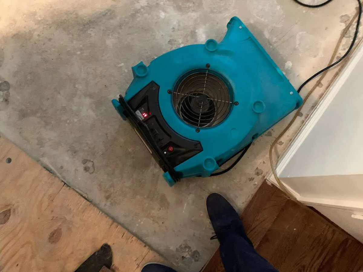 Air mover drying subfloor during Leak Detection & Repair in Port Charlotte