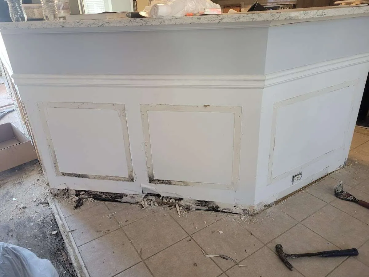 Water damage and mold on kitchen during Mold Inspection & Testing in Port Charlotte